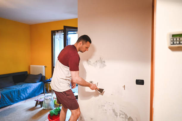 Best Mold Cleaning Services  in Middle Island, NY